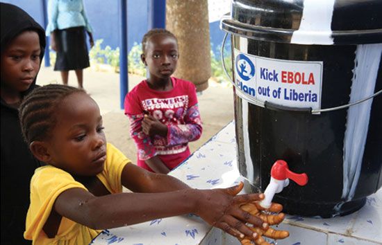 Ebola : sur la voie du redressement