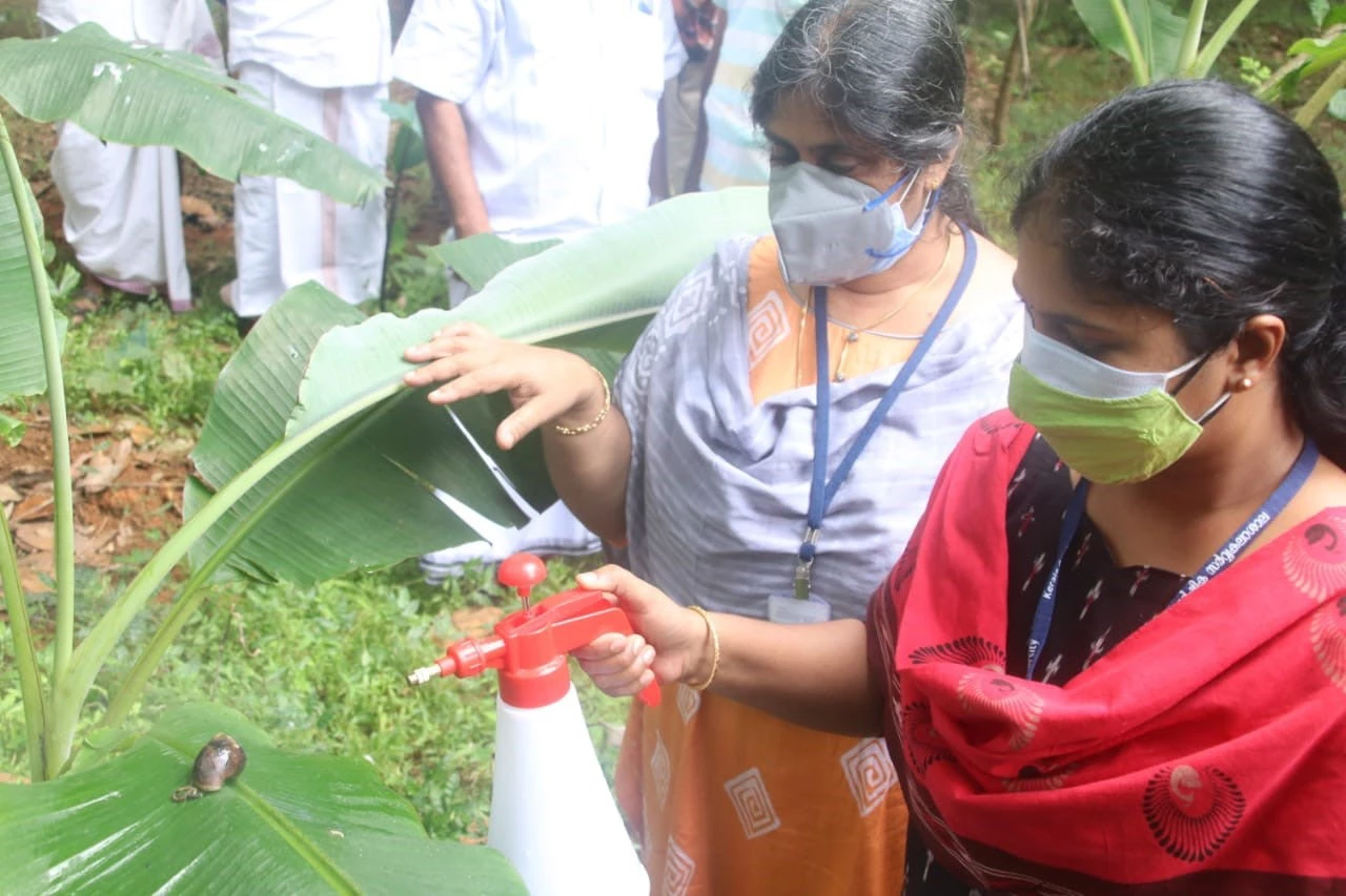 Experts from horticulture department demonstrating copper sulphate spray. Photo Credit: World Bank