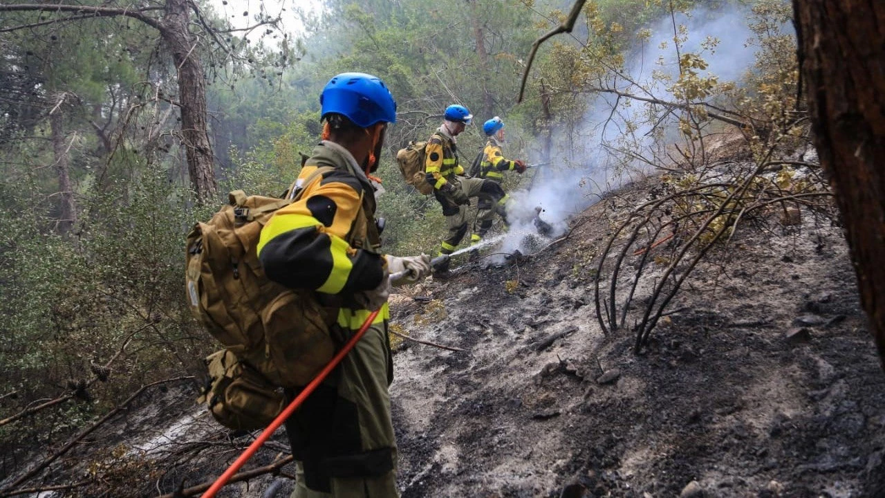 Firefighters work to put out flames in a forest in Lebanon. (Photo: Khaled Taleb)