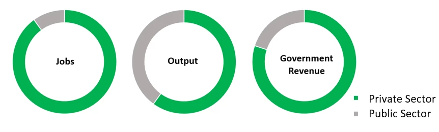 3 pie charts showing Figure 1a. The private sector creates most jobs, output, and government revenue in developing countries