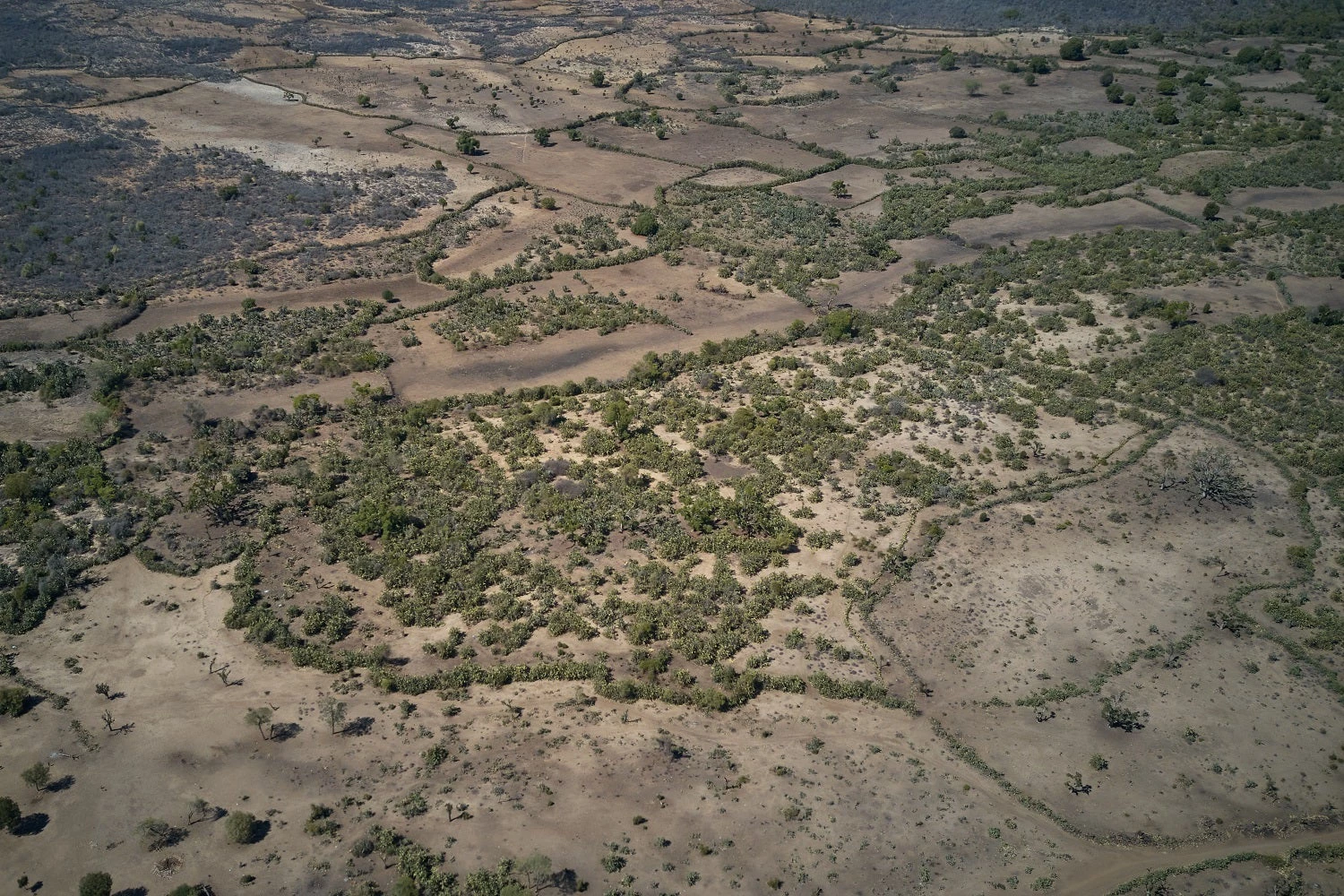 Aerial view of a dry river in Southern Madagascar. 