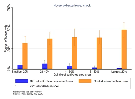 Bar diagram for main cereal cultivation in Summer 2021 in Nepal 