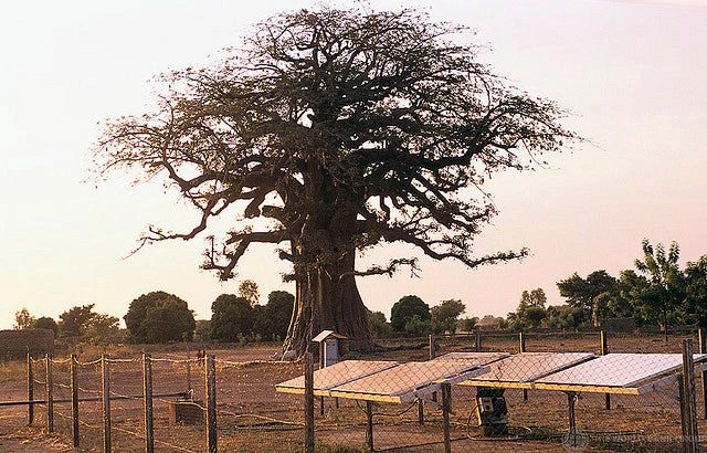 Solar panels in Mali. (© Curt Carnemark / World Bank)