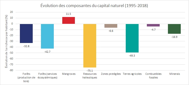 Évolution des composantes du capital naturel (1995-2018)