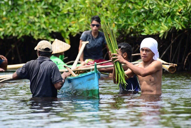 Mangroves