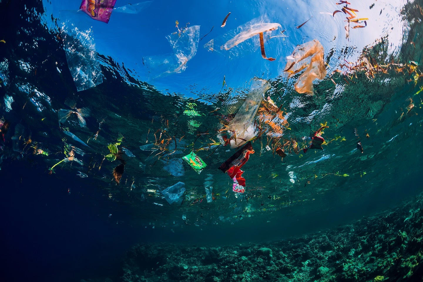 Underwater ocean with plastic and plastic bags.