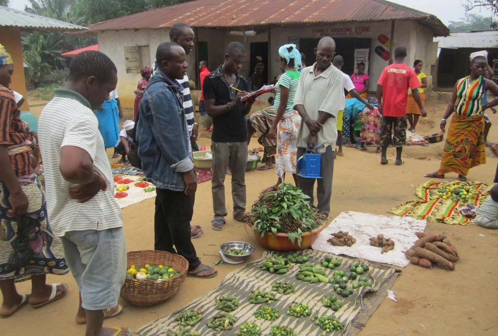 Household Income and Expenditure Survey team collecting data for commodity market prices in Porkpa District, Grand Cape Mount County