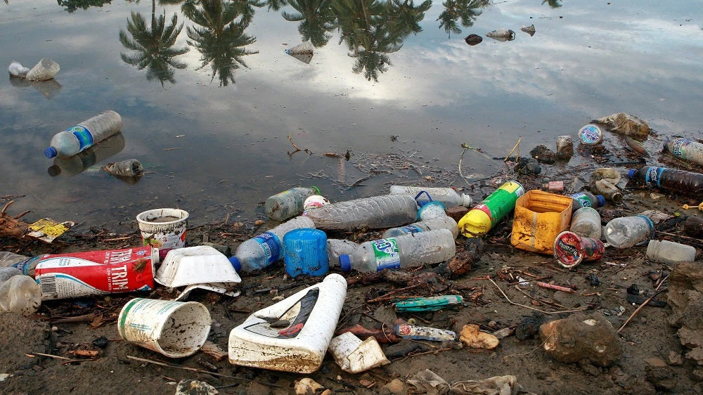Image of trash next to water