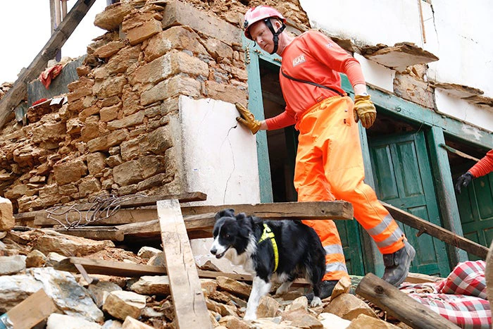 “Darcy” from the UK's International Search and Rescue team 