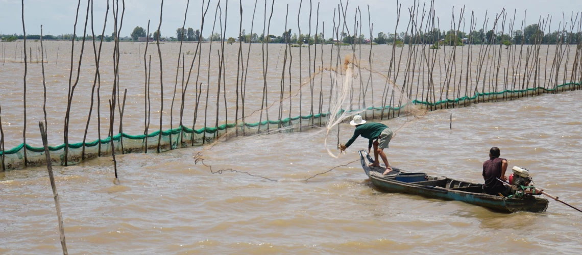 Farmers in Dong Thap Province, southern Vietnam catch wild fish and raise shrimp during the flooding season. 