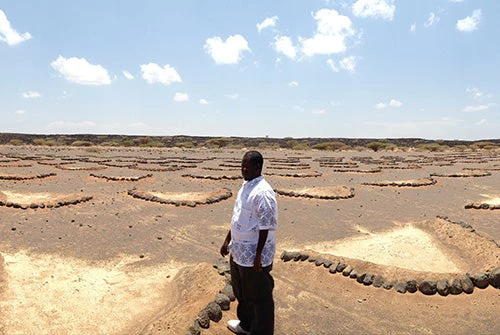 La création de zones réservées au pâturage s’impose tout particulièrement pendant les épisodes de sécheresse. Dikhil, Djibouti