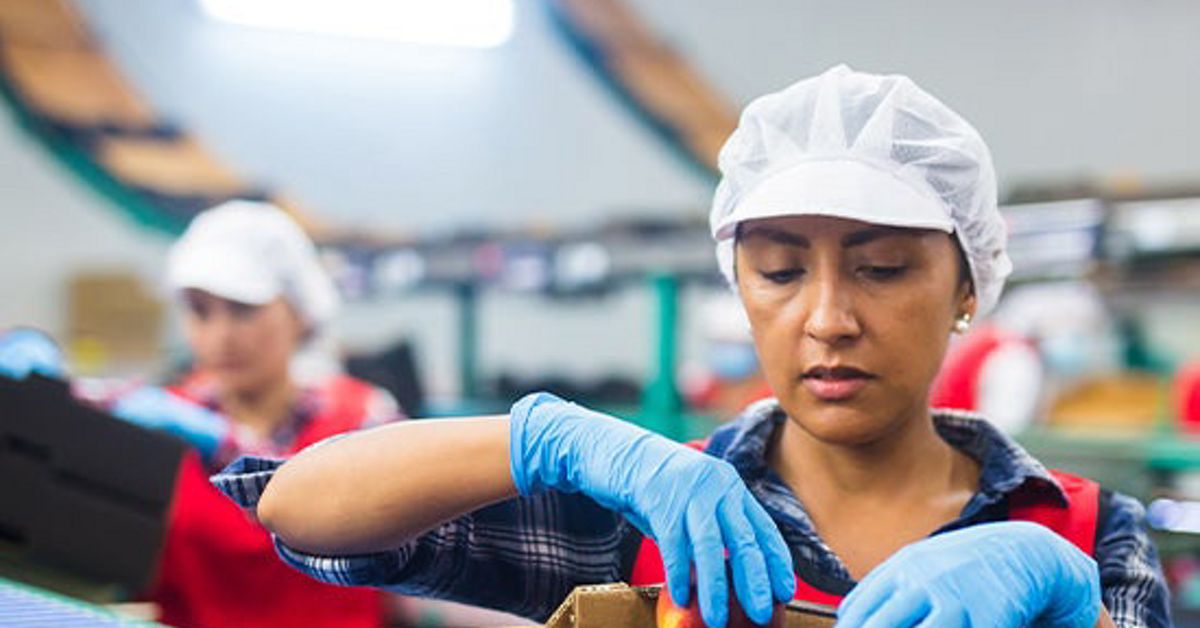 Event | Balancing Act: Jobs and Wages in the Middle East and North Africa - Vimarsana News