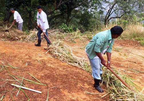 men-cleaning-the-forest