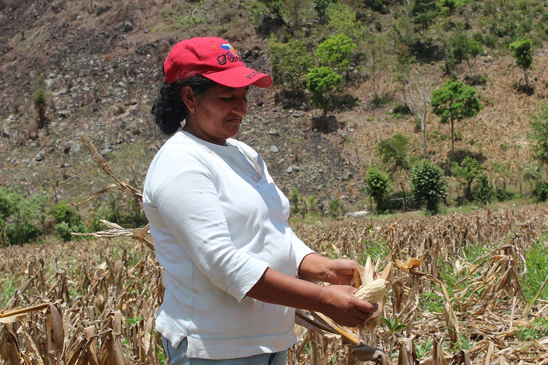 Mujer Rural Honduras 