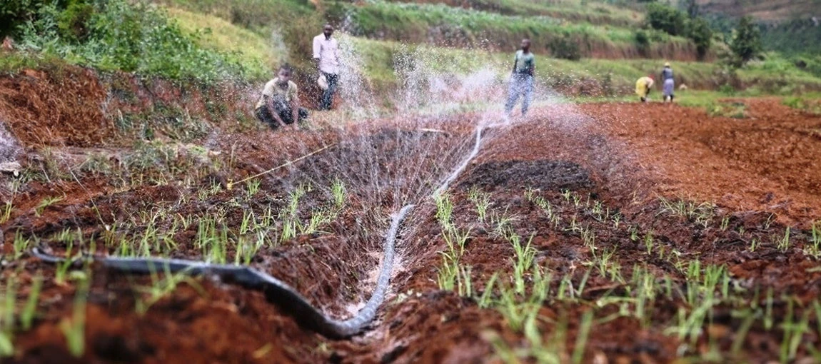 Water is cultivating hope and transforming the lives of Rwanda's farmers 