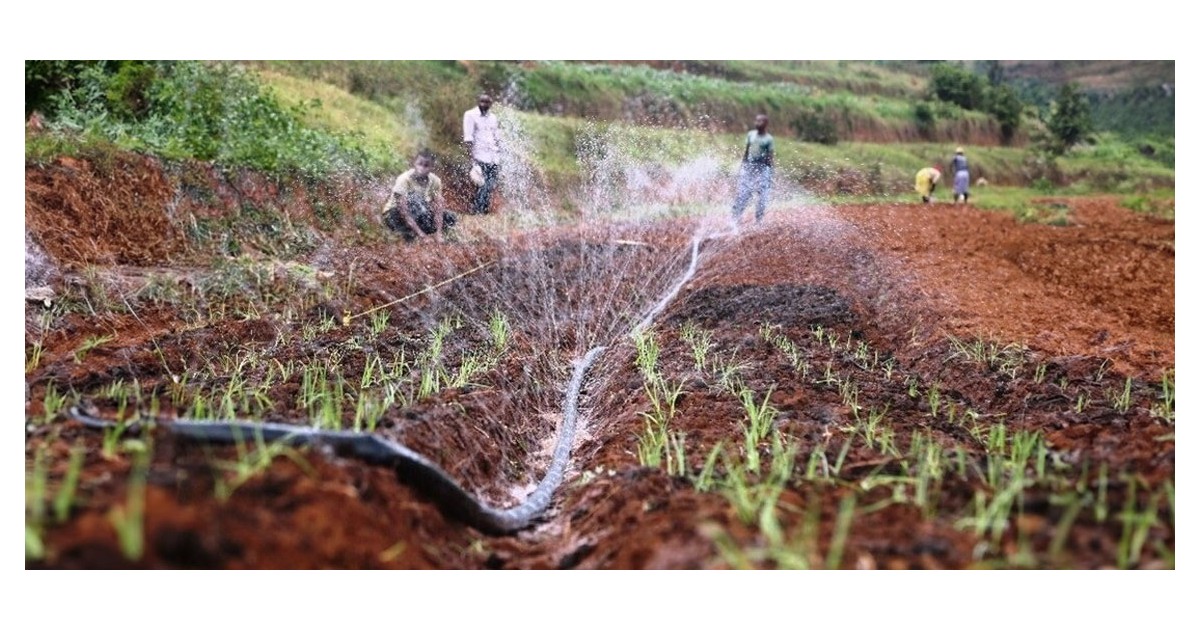 Water is cultivating hope and transforming the lives of Rwanda's farmers