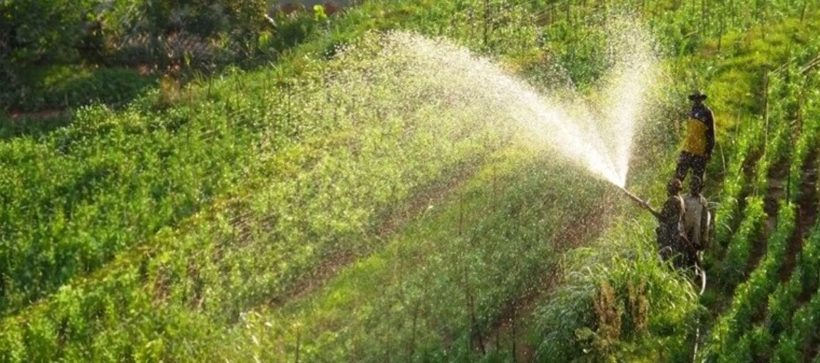 Water: Cultivating Hope and Transforming the Lives of Rwanda’s Farmers