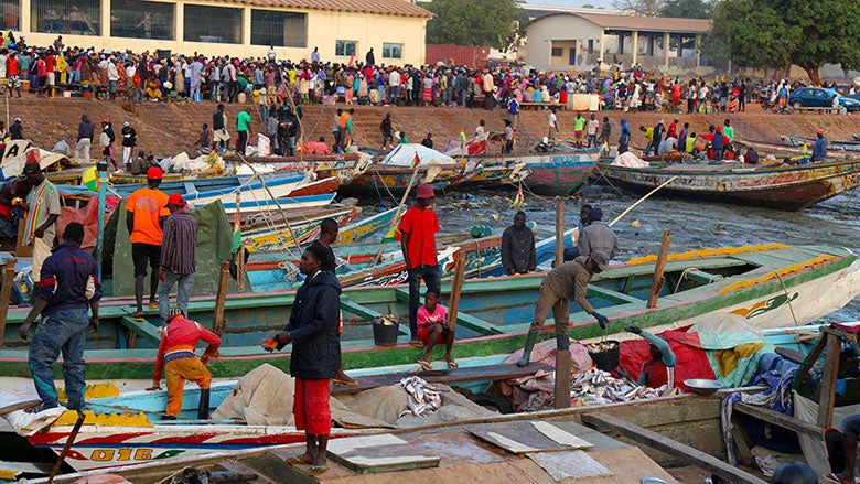 Climate Impacts on African Fisheries: The Imperative to Understand and Act