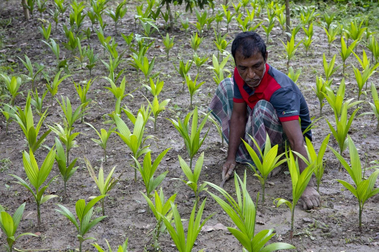 In Tarabunia village, Pirojpur district, more and more farmers have turned to the ?sarjan? method of farming to cultivate a variety of produce from vegetables to seasonal fruits. This is in response to the rapidly changing climate.