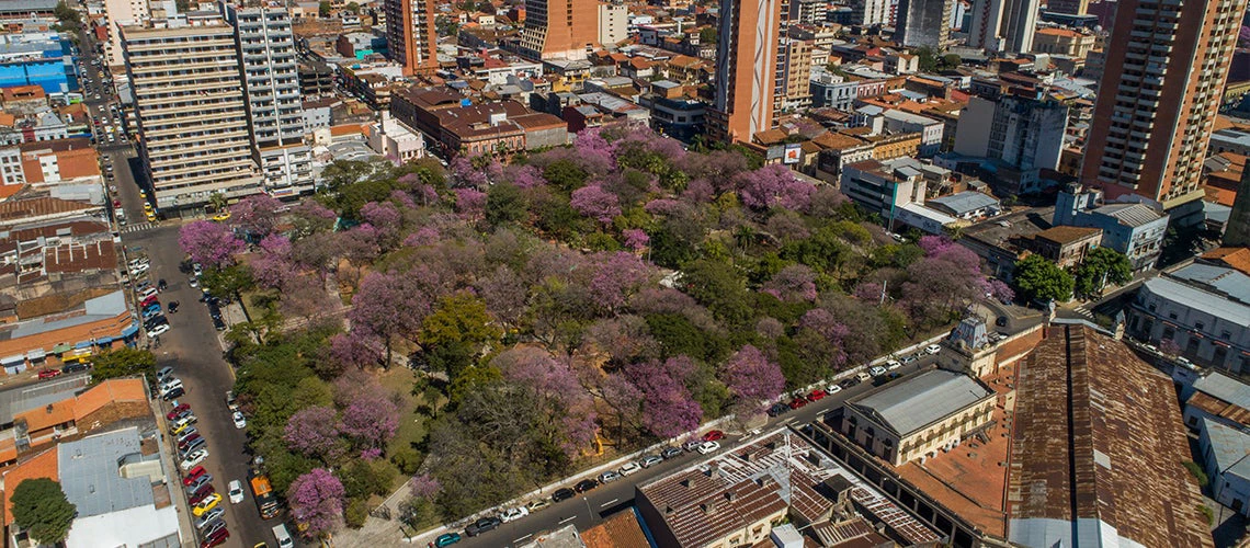 Aerial view of a park with green trees and purple flowers in the city of Assuncion, Paraguay.