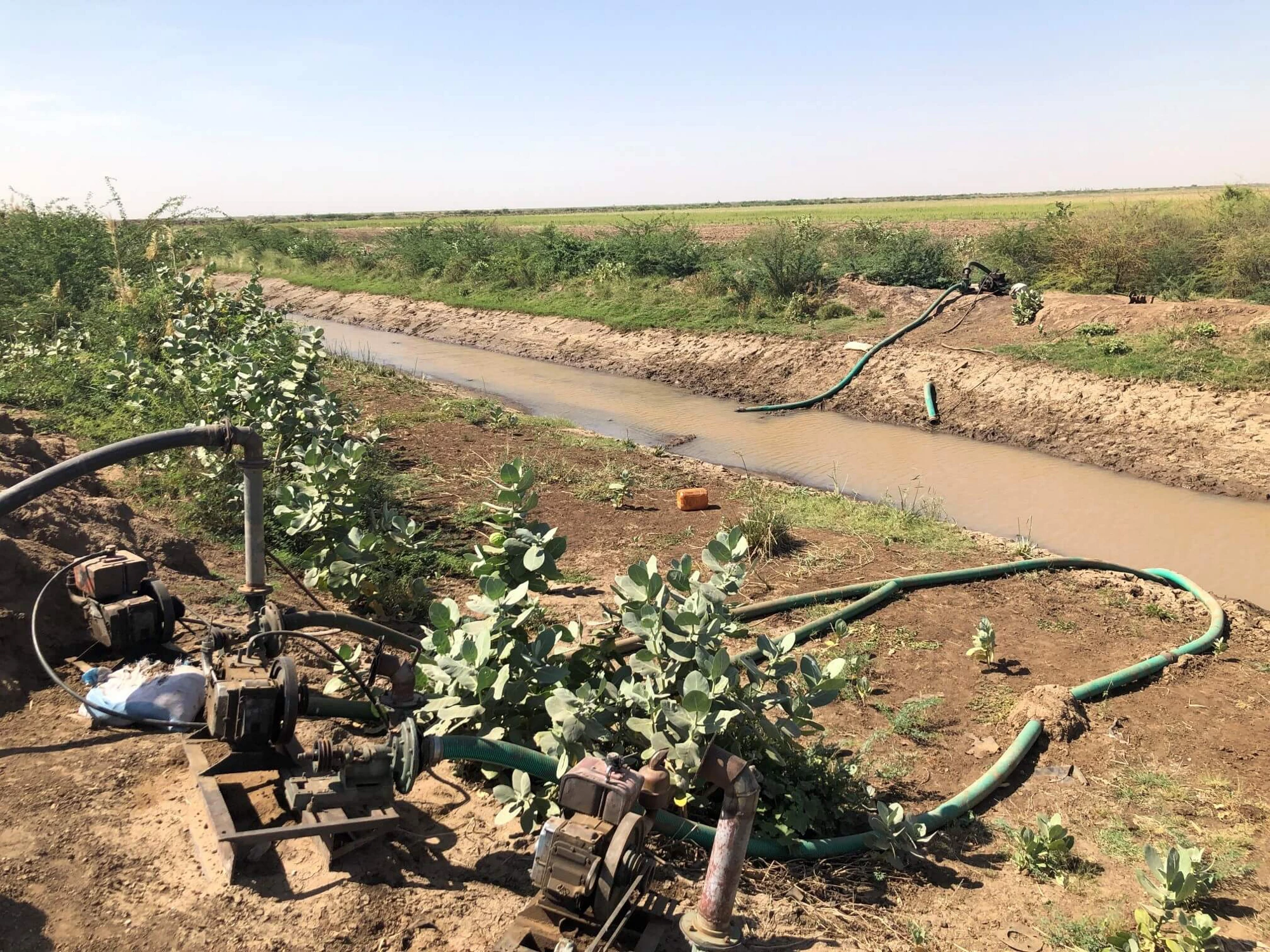 Il est crucial que les agriculteurs obtiennent de l'eau pour leurs cultures. Ces pompes d'irrigation ont un rôle important dans l'approvisionnement en eau des champs des agriculteurs. Crédits photo : Yukio Tanaka