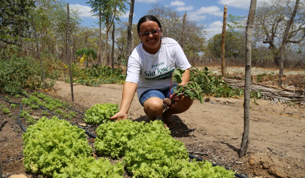 Niédia Barbosa, pequena produtora rural de Cristais, Ceará, reutiliza esgoto tratado para irrigar a horta.