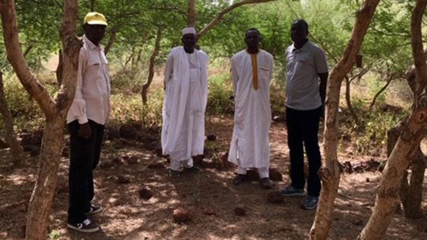 Members of the Tchida community showed us around their thriving Acacia plantation. Photo: Mirko Serkovic