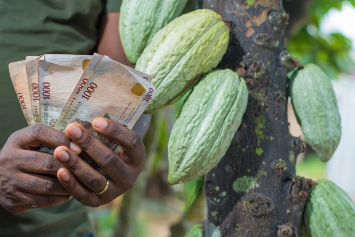 From loss to resilience in Nigeria: turning a growing agricultural challenge into action