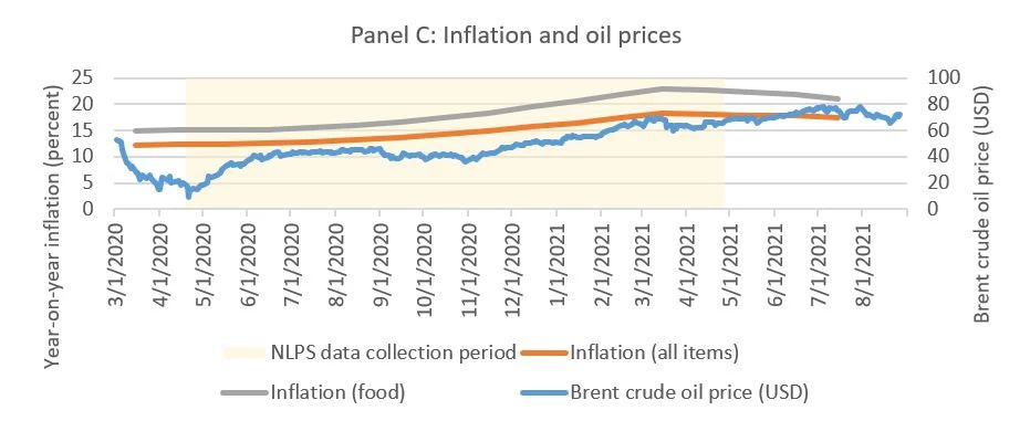 Panel C: Inflation and oil prices