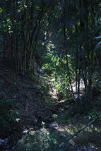 The open toilet along the river in Nangkhel village