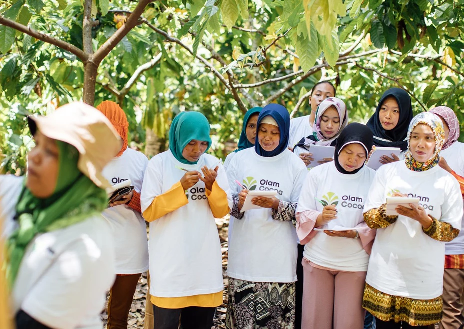 olam-international-limited