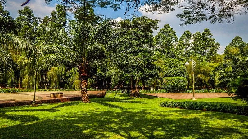 Taman Tebet, located in South Jakarta, a multifunctional green space that also serves flood management purposes