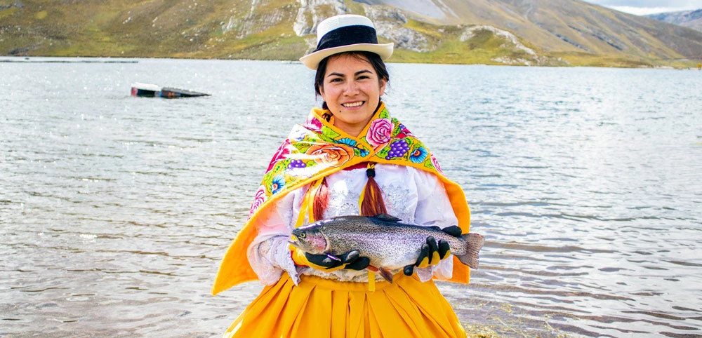 Cultivo de trucha en Pachacayo, Jauja. César Reyna (PNIPA) / Banco Mundial 