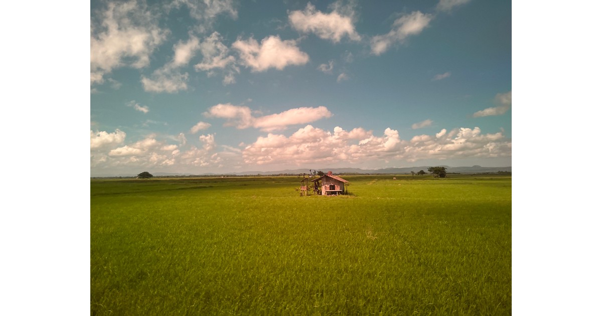 Transforming agricultural insurance in the Philippines to help farmers cope with natural disasters: Three essential reform areas