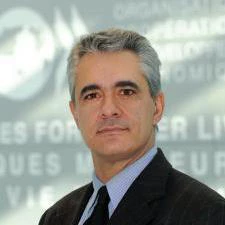 Stefano Scarpetta