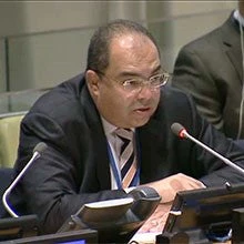 Mahmoud Mohieldin