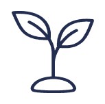 The World Bank