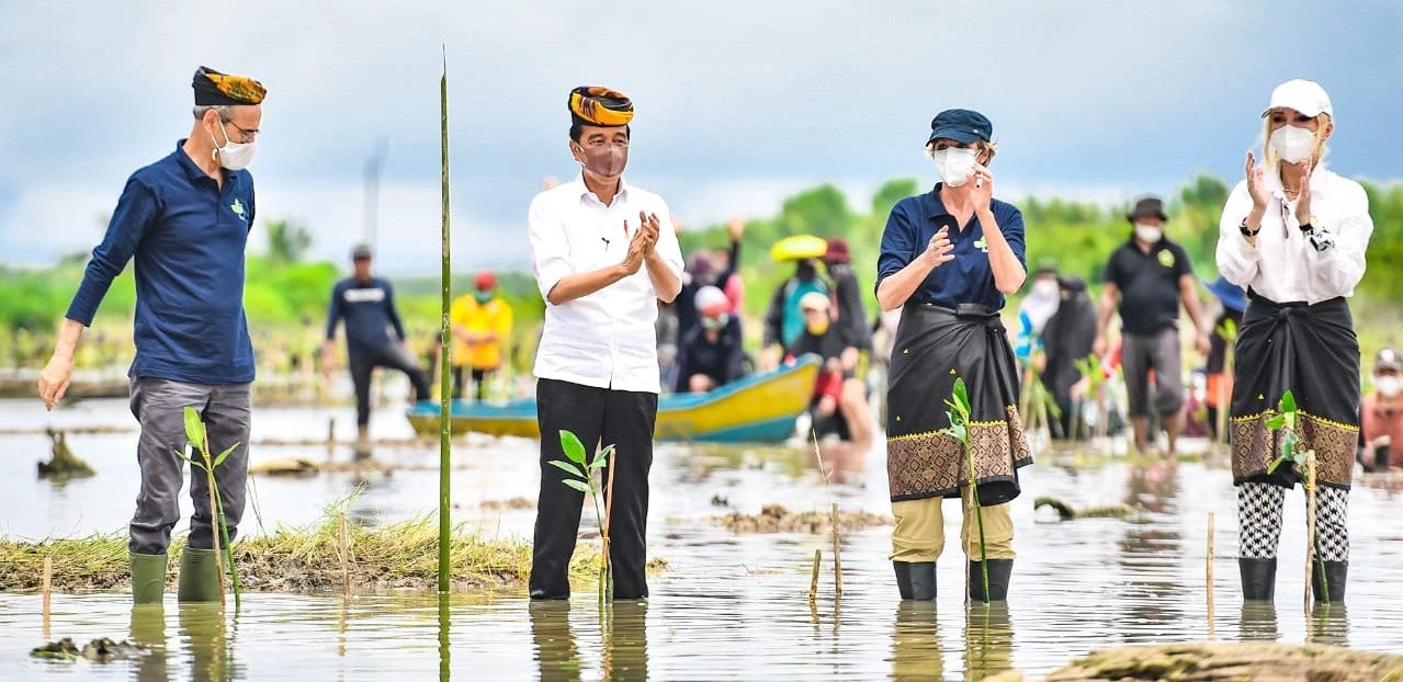 Presiden Joko Widodo bersama Satu Kahkonen, Country Director Bank Dunia untuk Indonesia dan Timor Leste serta para duta besar dari berbagai negara, dalam kunjungan ke Tarakan, Kalimantan Utara untuk meninjau upaya Program Mangrove Nasional Indonesia di lapangan dan menanam mangrove. Foto: Biro Media Sekretariat Presiden