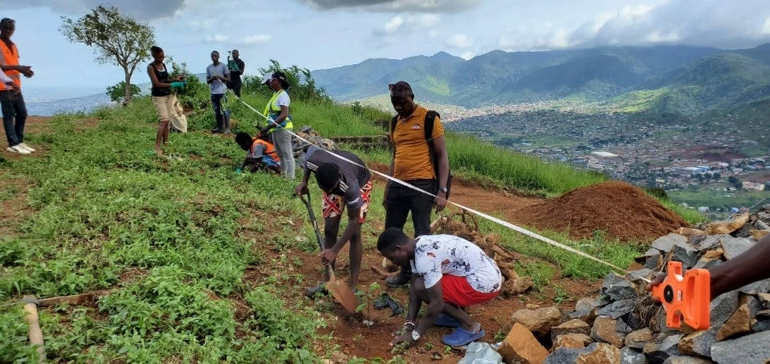 Community members plant trees in Freetown Sierra Leone