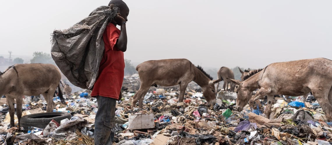 A boy in Africa standing in a landfill with a black plastic bag on his shoulder looking for reusable material, surrounded by hungry garbage grazing donkeys.