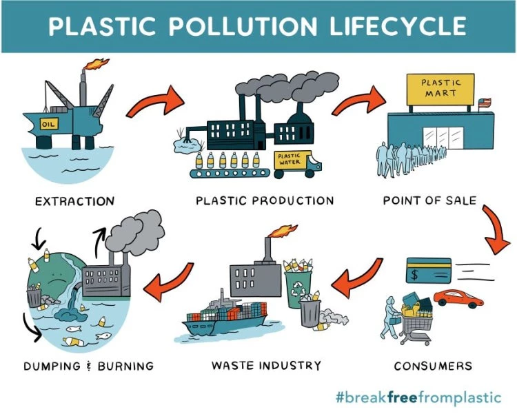 Plastic Pollution Lifecycle 