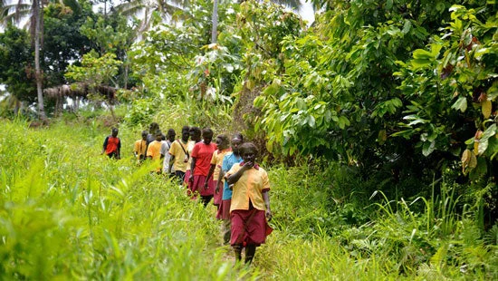 Students from Aravira Primary School in central Bougainville, Papua New Guinea on their walk to school - which for some, takes up to four hours 
