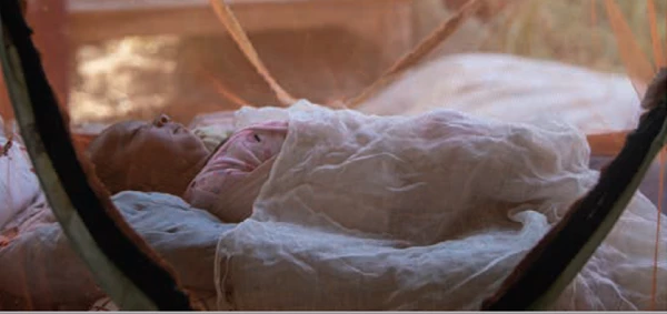 Baby under a mosquito net