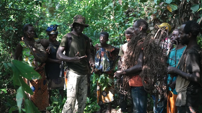 Preserving the Forest of the Congo Basin