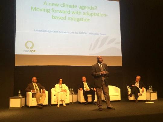 A high-level panel on adaptation-based mitigation at the Global Landscape Forum 2014 in Lima, Peru. (Photo by PROFOR)