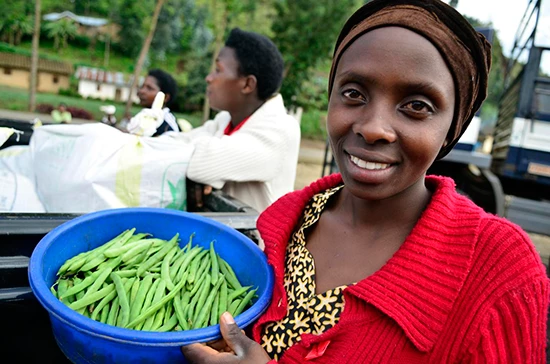 L’avenir de l’alimentation : pour une alimentation de qualité, saine, durable et accessible à tous