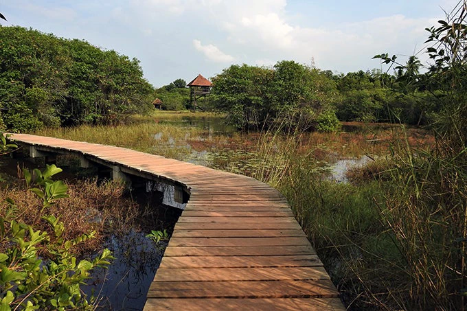 Protecting-wetlands-lessons-from-sri-lanka-and-maldives-blog