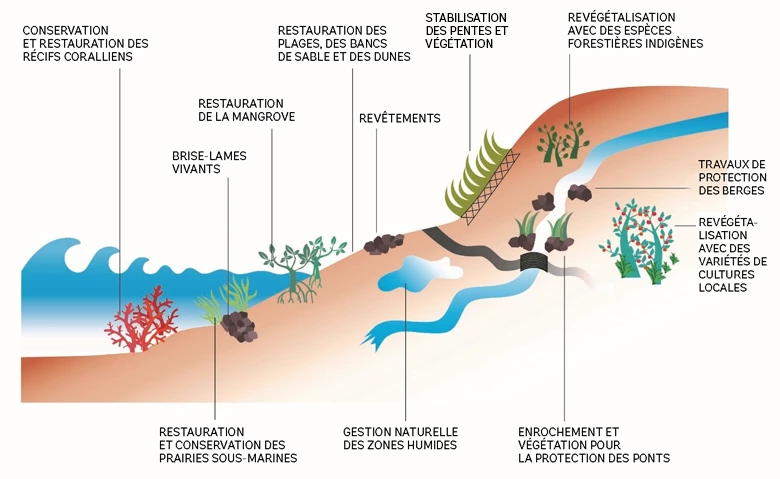 Résilience climatique des routes côtières. Exemple d'Haïti