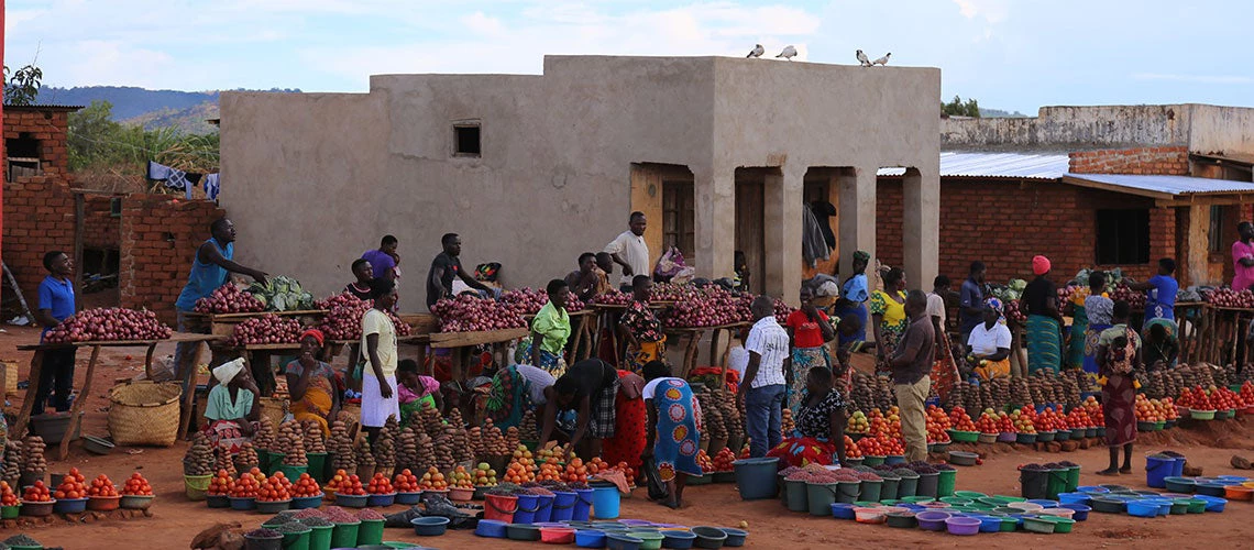 Putting Malawi?s food system front and center to save lives and livelihoods 