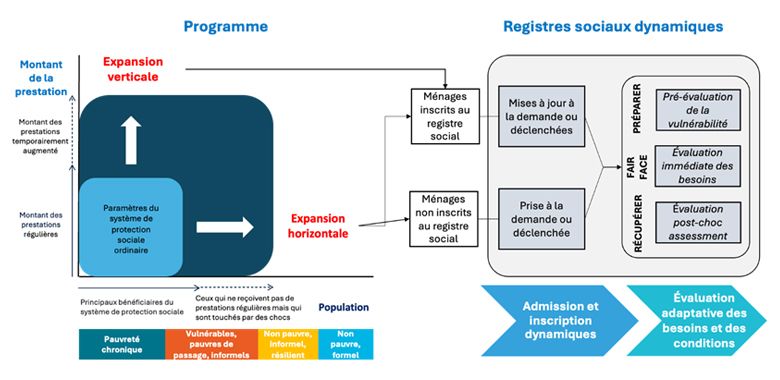 Registres sociaux dynamiques pour les expansions verticales et horizontales